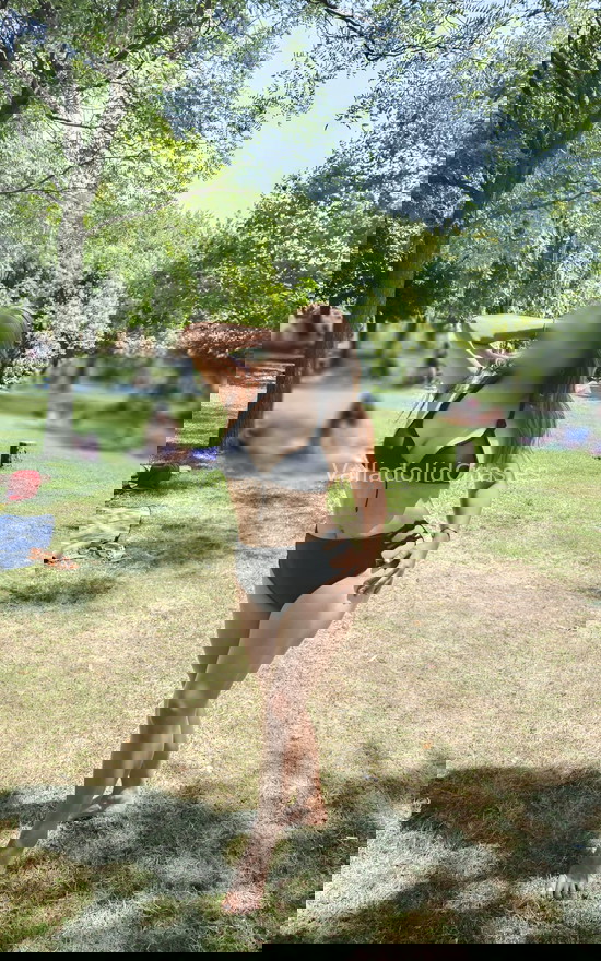 Yazmín, latina con encanto. 611289418. Citas en VALLADOLID, VALLADOLID. www.valladolidcitas.es. Yazmín, latina con encanto. 611289418. Citas en VALLADOLID, VALLADOLID. www.valladolidcitas.es.