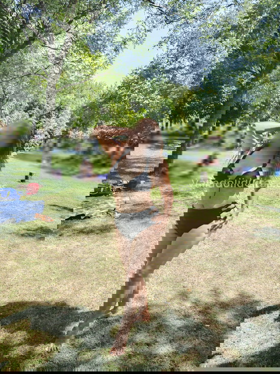 Yazmín, latina con encanto. 611289418. Citas en VALLADOLID, VALLADOLID. www.valladolidcitas.es. Yazmín, latina con encanto. 611289418. Citas en VALLADOLID, VALLADOLID. www.valladolidcitas.es.