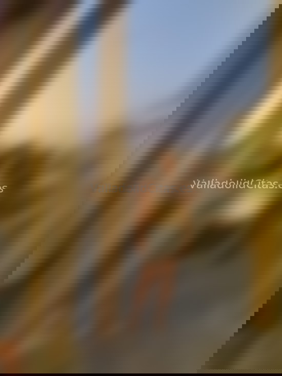 Gina, trans paraguaya  . 632470779. Citas en VALLADOLID, VALLADOLID. www.valladolidcitas.es.