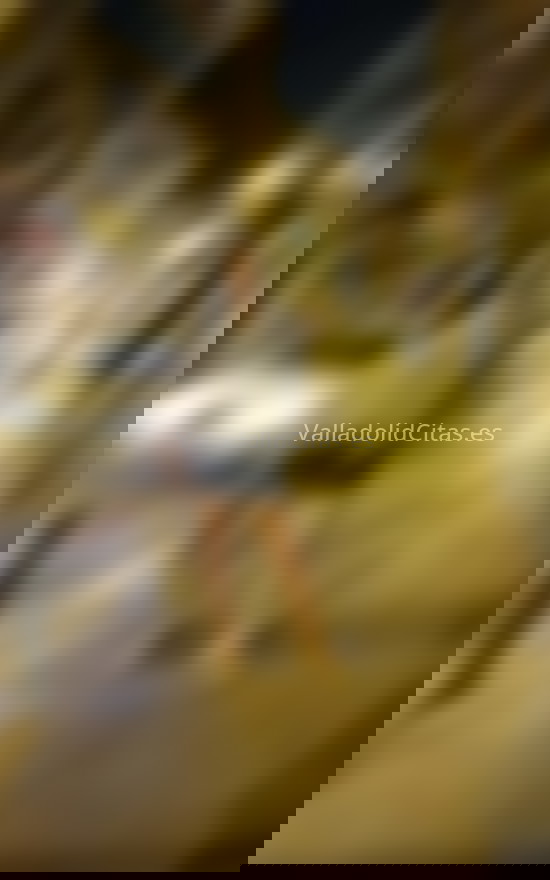 Gina, trans paraguaya  . 632470779. Citas en VALLADOLID, VALLADOLID. www.valladolidcitas.es.