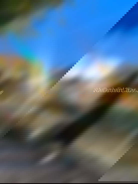 Valentina, colombiana recién llegada. 602593984. Citas en VALLADOLID, VALLADOLID. www.valladolidcitas.es.