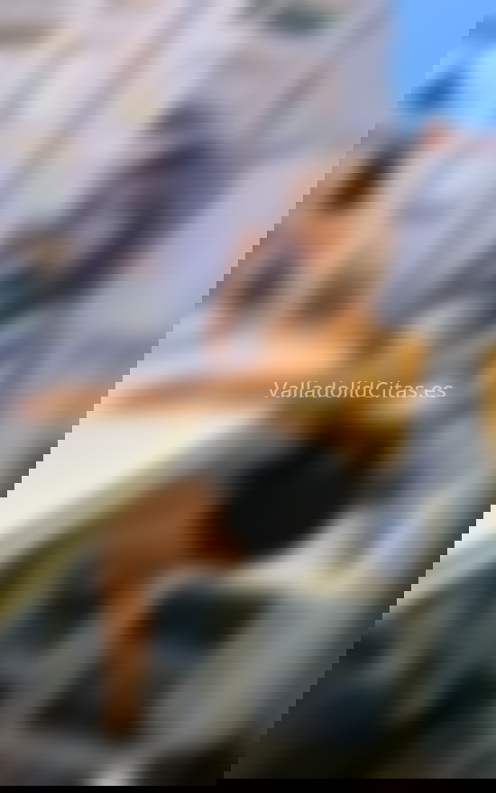 Jessica, trans colombiana de buen ver. 624769945. Citas en VALLADOLID, VALLADOLID. www.valladolidcitas.es.