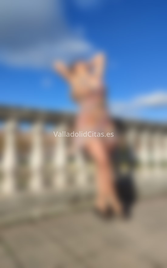 Camila . 604258955. Citas en VALLADOLID, VALLADOLID. www.valladolidcitas.es.