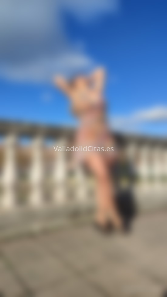 Camila . 604258955. Citas en VALLADOLID, VALLADOLID. www.valladolidcitas.es.