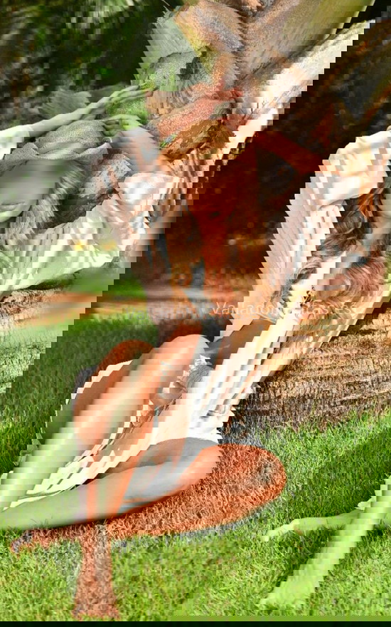 Camila Rodrigues, de vacaciones por aquí. 722831711. Citas en VALLADOLID, VALLADOLID. www.valladolidcitas.es. Camila Rodrigues, de vacaciones por aquí. 722831711. Citas en VALLADOLID, VALLADOLID. www.valladolidcitas.es.