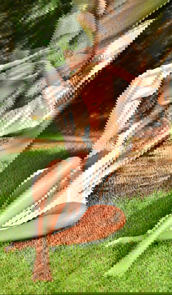 Camila Rodrigues, de vacaciones por aquí. 722831711. Citas en VALLADOLID, VALLADOLID. www.valladolidcitas.es. Camila Rodrigues, de vacaciones por aquí. 722831711. Citas en VALLADOLID, VALLADOLID. www.valladolidcitas.es.