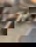 613603112