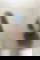 613981727
