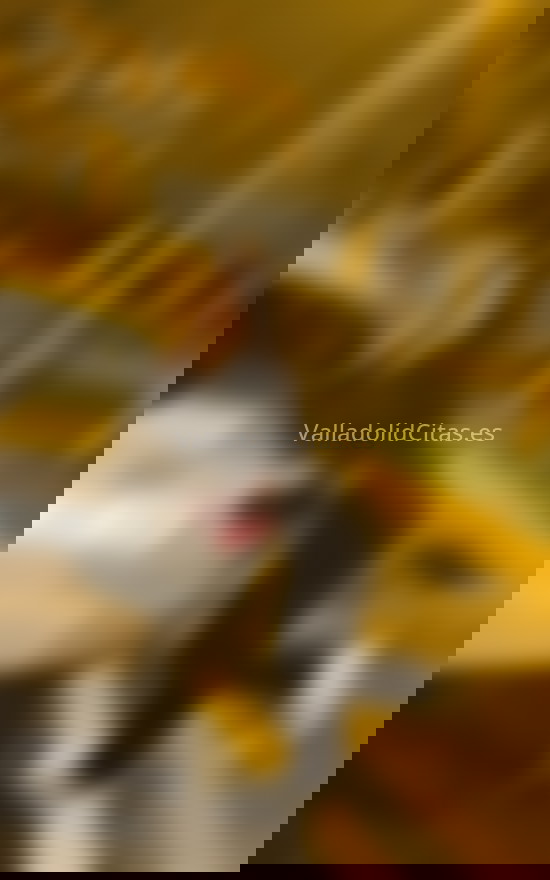 Gabriela, trans colombiana. 624771985. Citas en VALLADOLID, VALLADOLID. www.valladolidcitas.es.