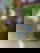 641556186