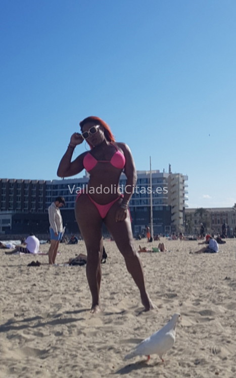 Nikisha, trans recién llegada. 614559833. Citas en VALLADOLID, VALLADOLID. www.valladolidcitas.es. Nikisha, trans recién llegada. 614559833. Citas en VALLADOLID, VALLADOLID. www.valladolidcitas.es.